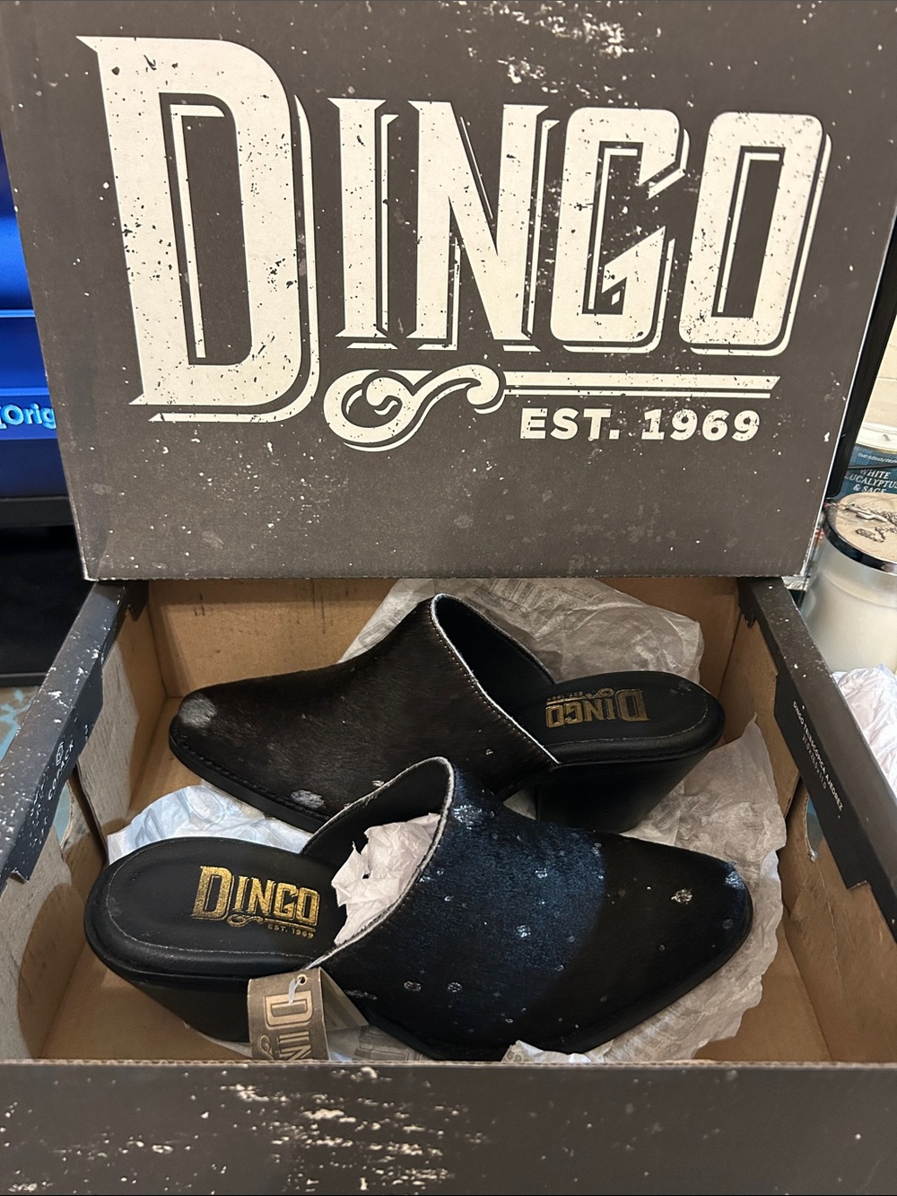 Dingo cash cow mule
